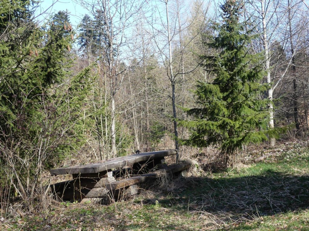 banc-1866