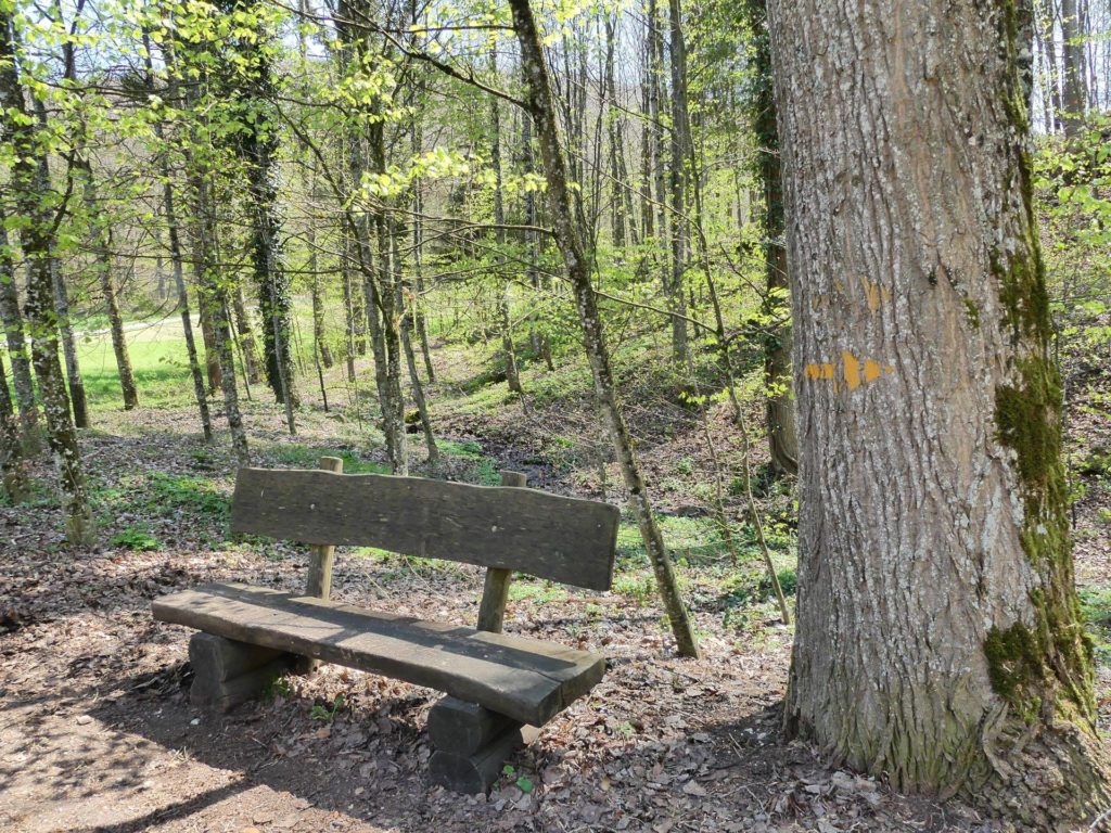 banc-1894