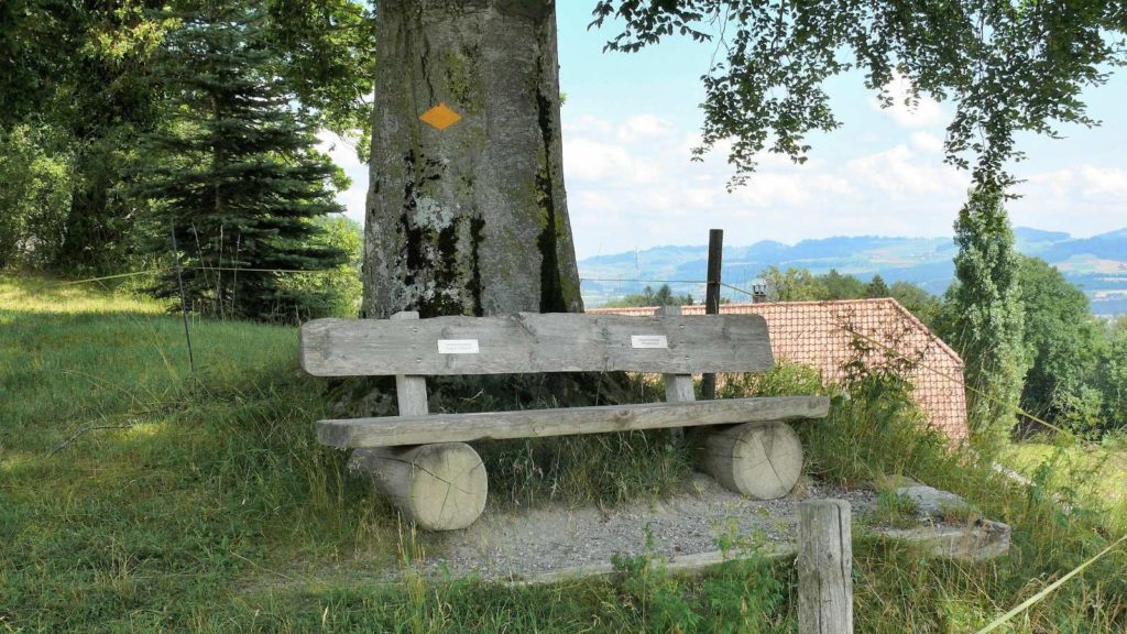 banc-19