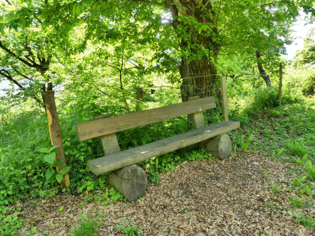 banc-1913