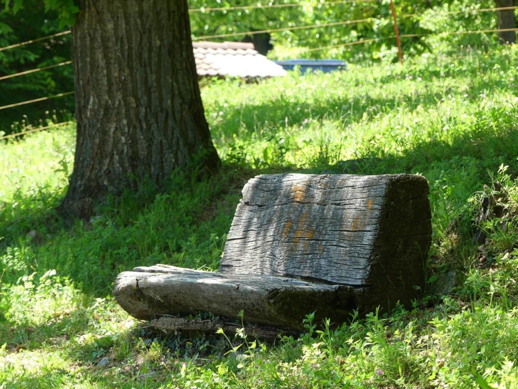 banc-1914