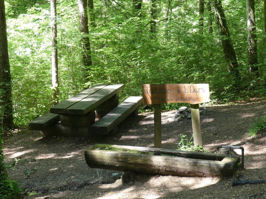 banc-1931