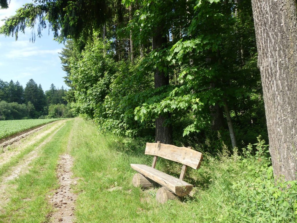 banc-1933