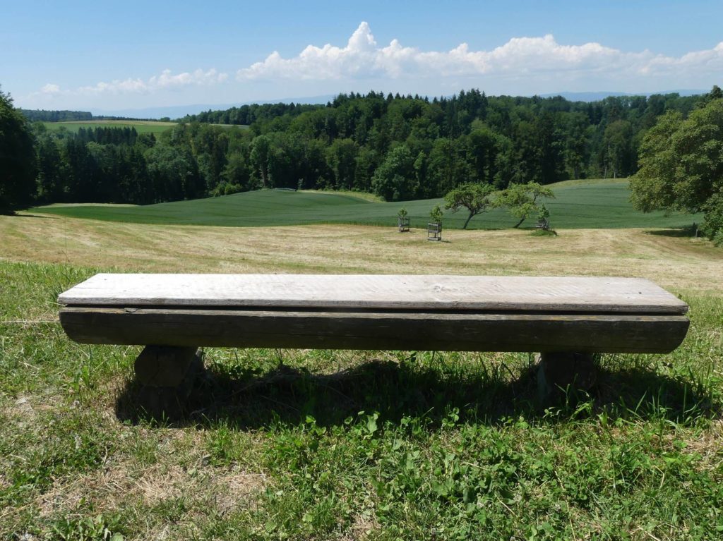 banc-1936