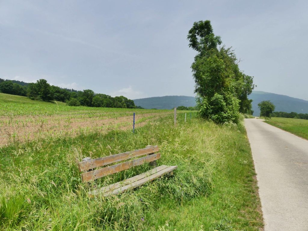 banc-1945