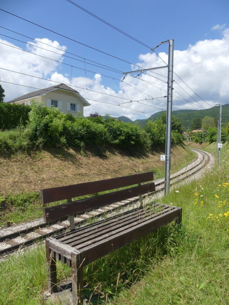 banc-1950