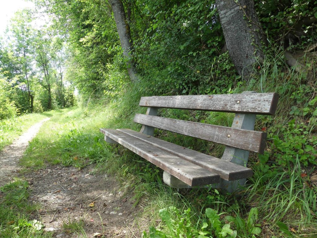banc-1959