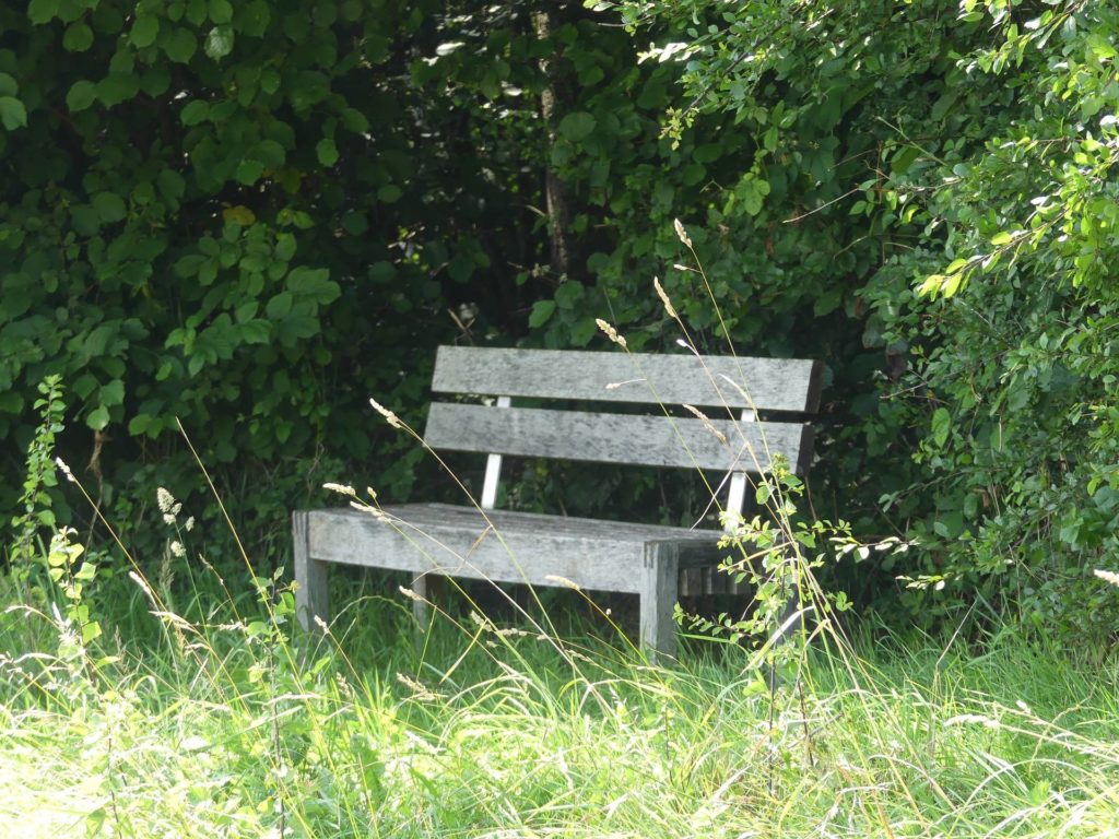 banc-1974