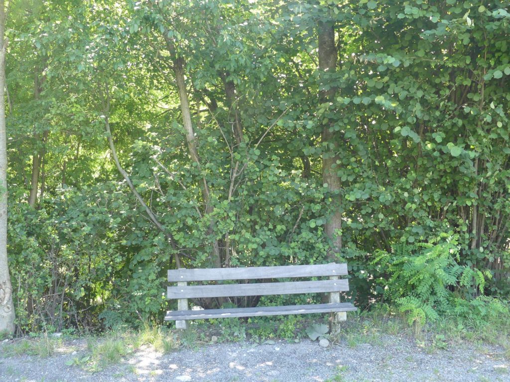 banc-1986