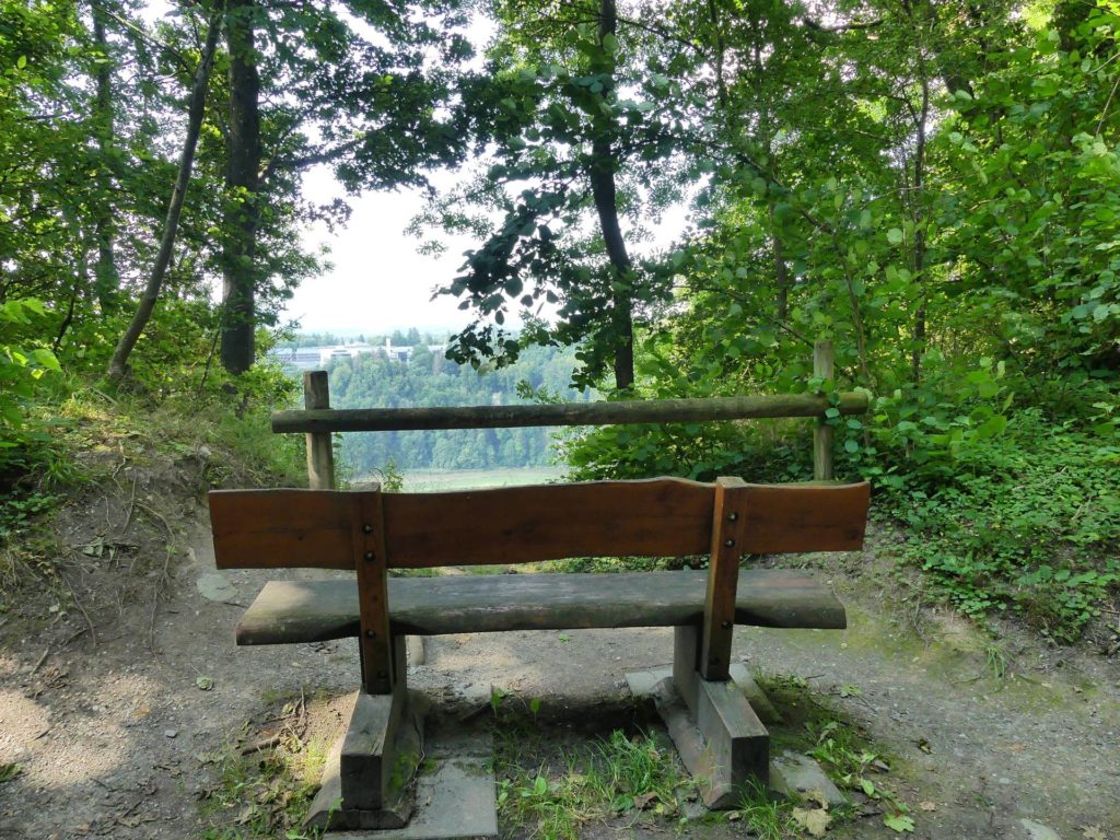 banc-2007