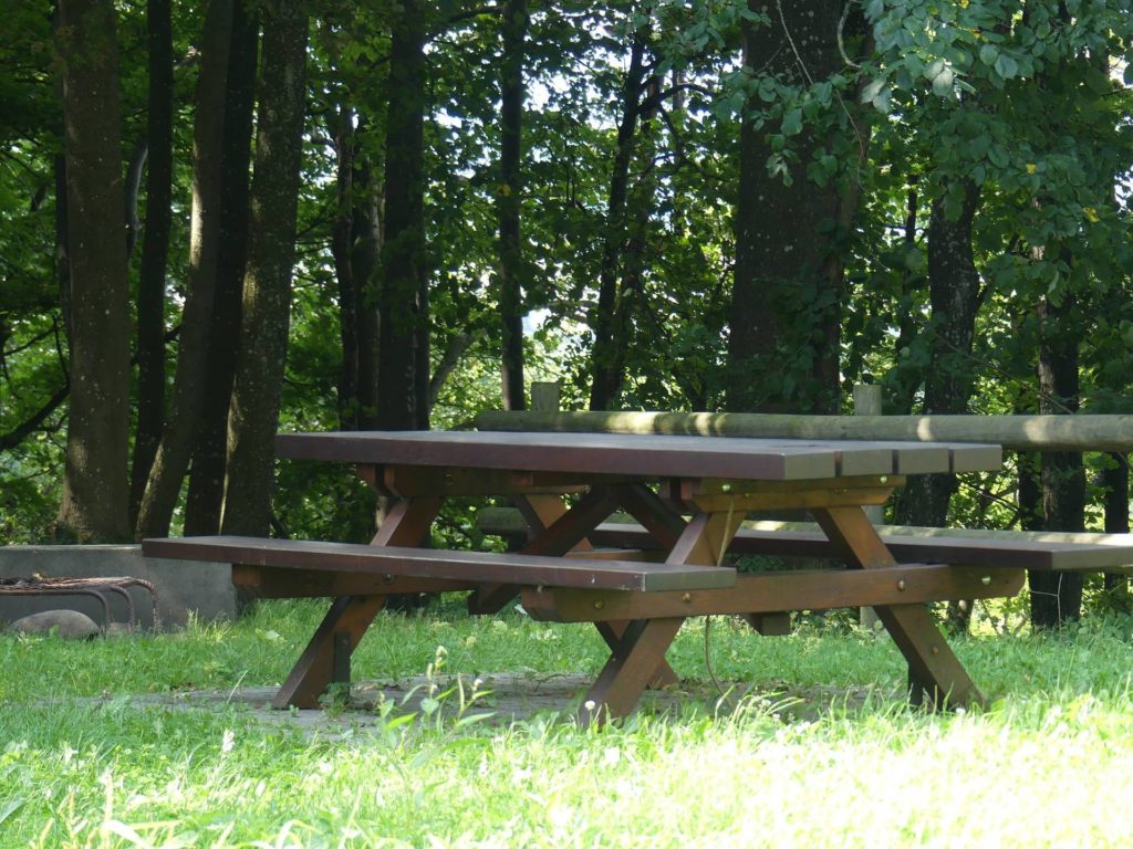 banc-2008