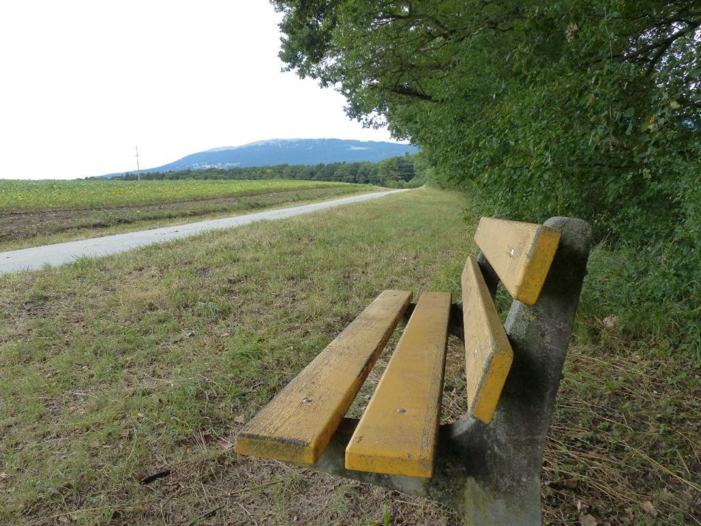banc-201