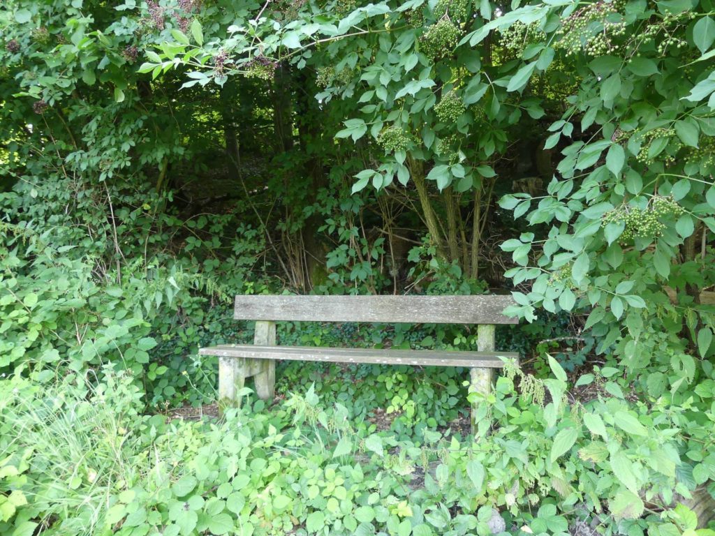 banc-2010