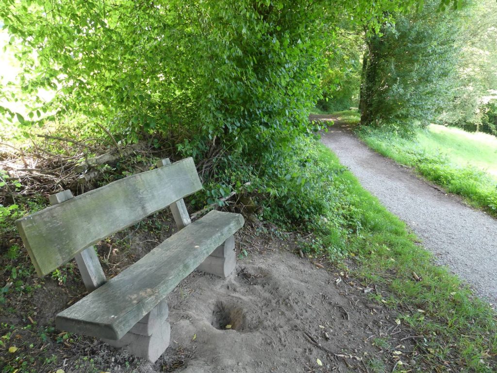 banc-2011