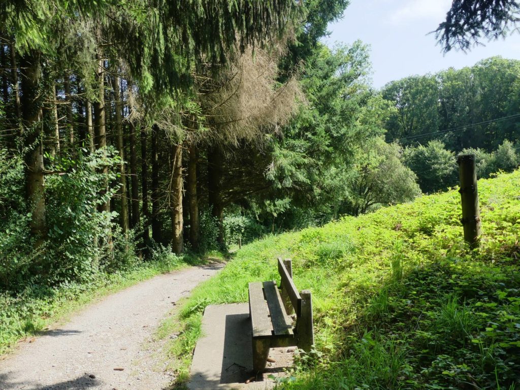 banc-2012