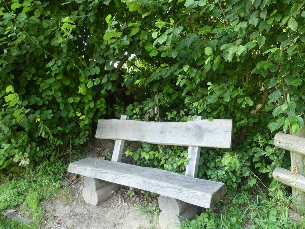 banc-2016