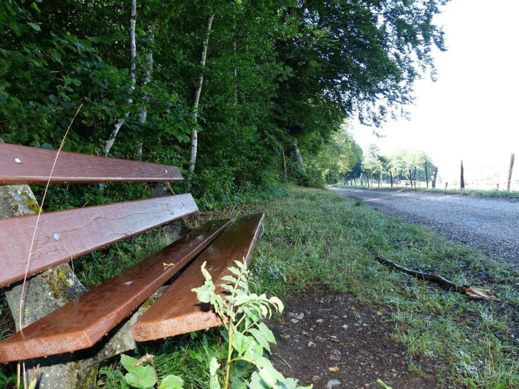 banc-202