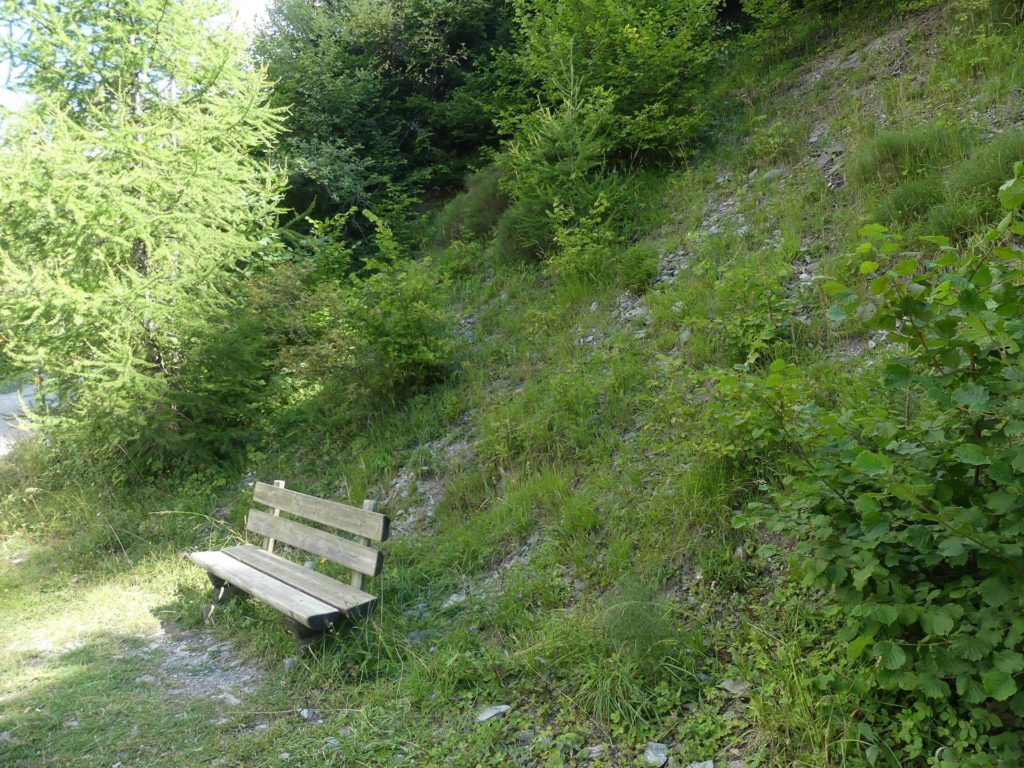 banc-2021