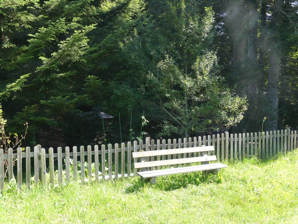 banc-2026