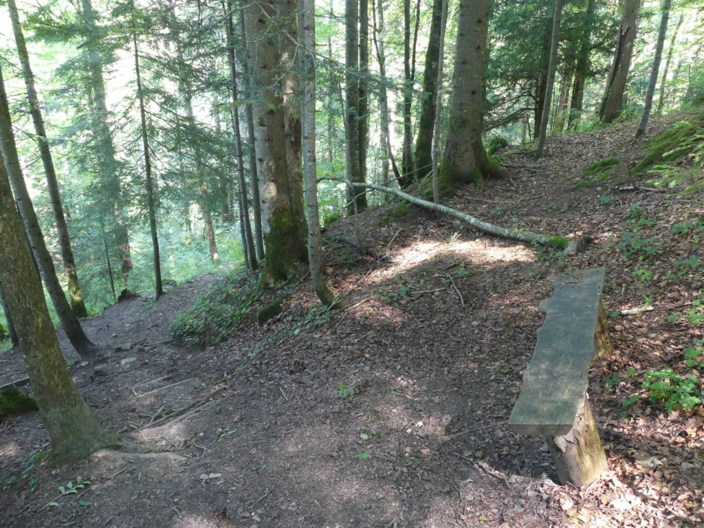 banc-2028