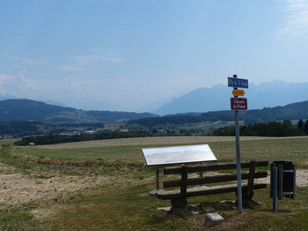 banc-207