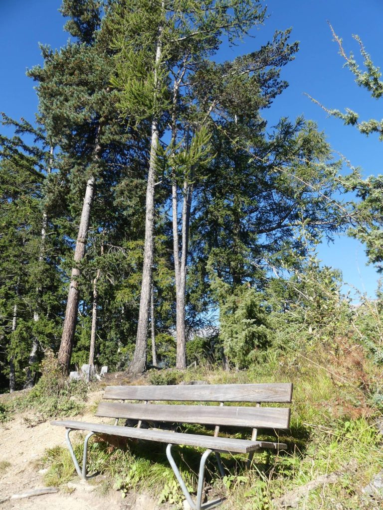 banc-2074