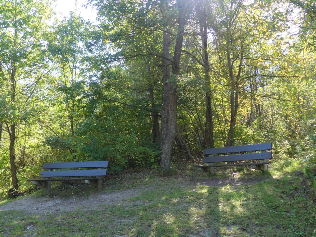 banc-2098