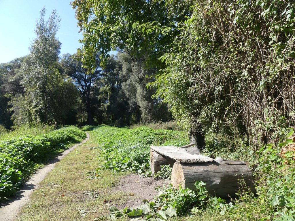 banc-2106