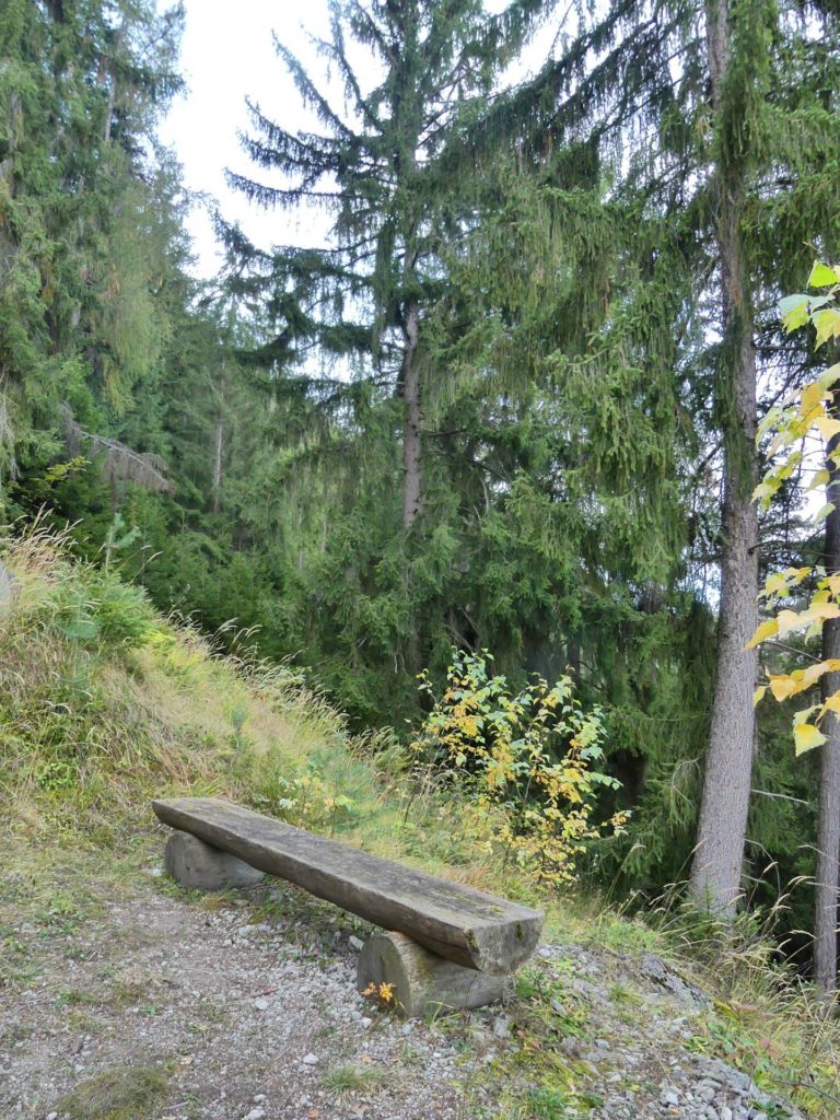 banc-2119