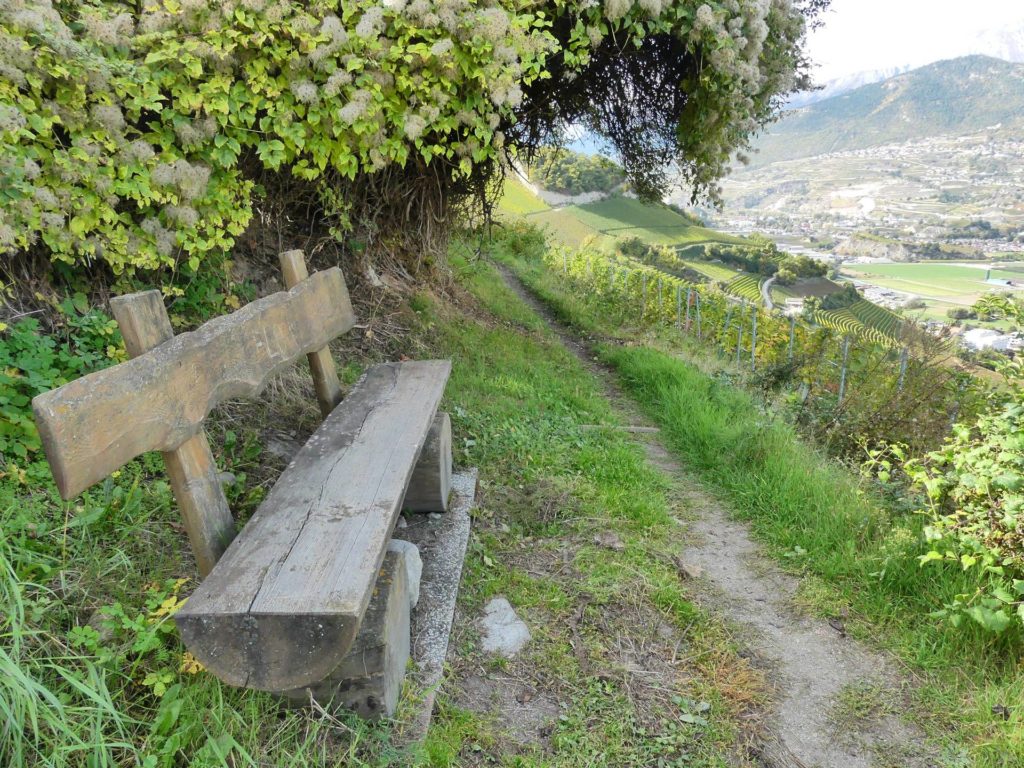 banc-2123