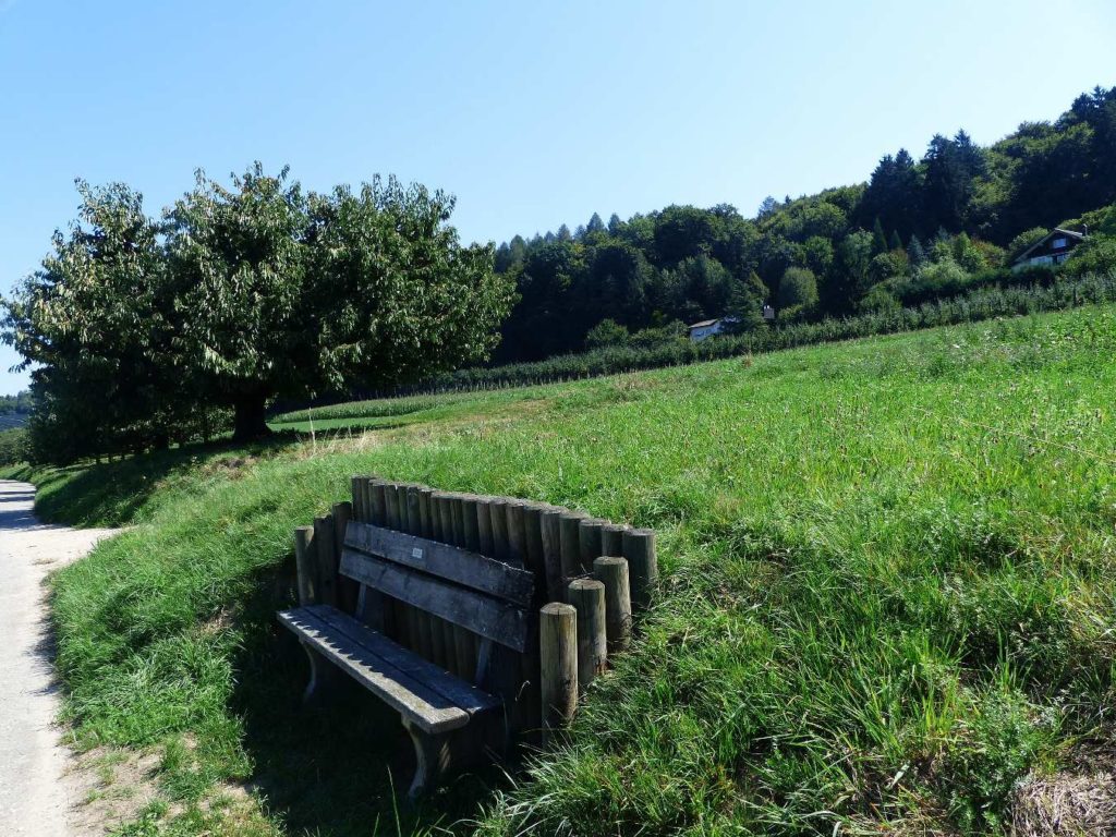 banc-213
