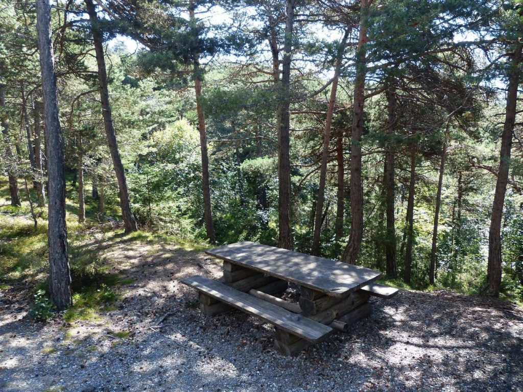 banc-215