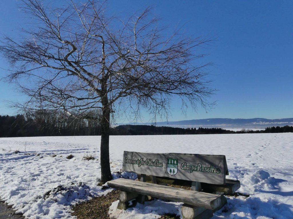 banc-2151