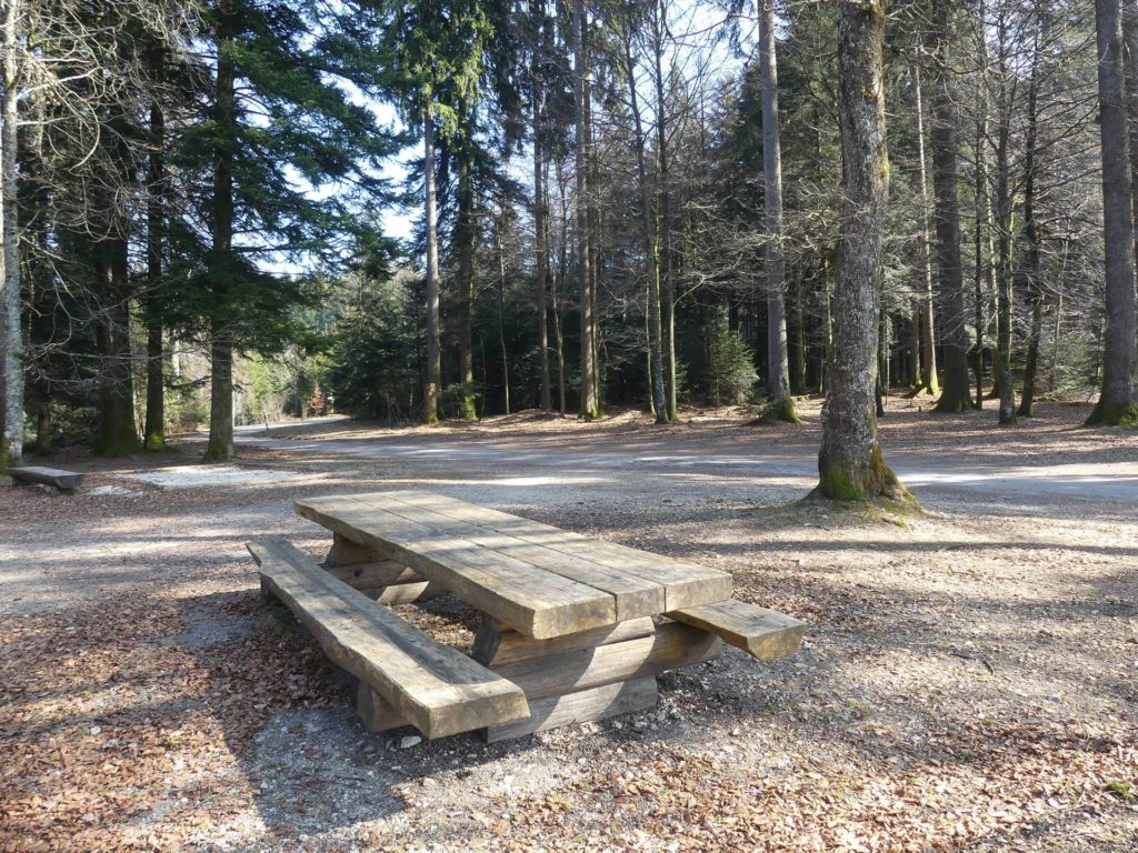banc-2205