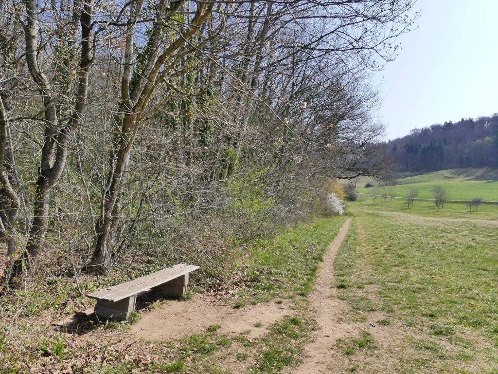 banc-2230