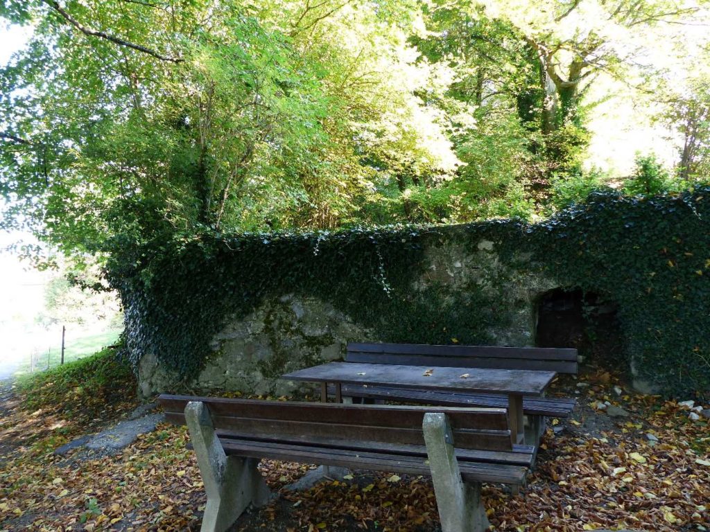 banc-224