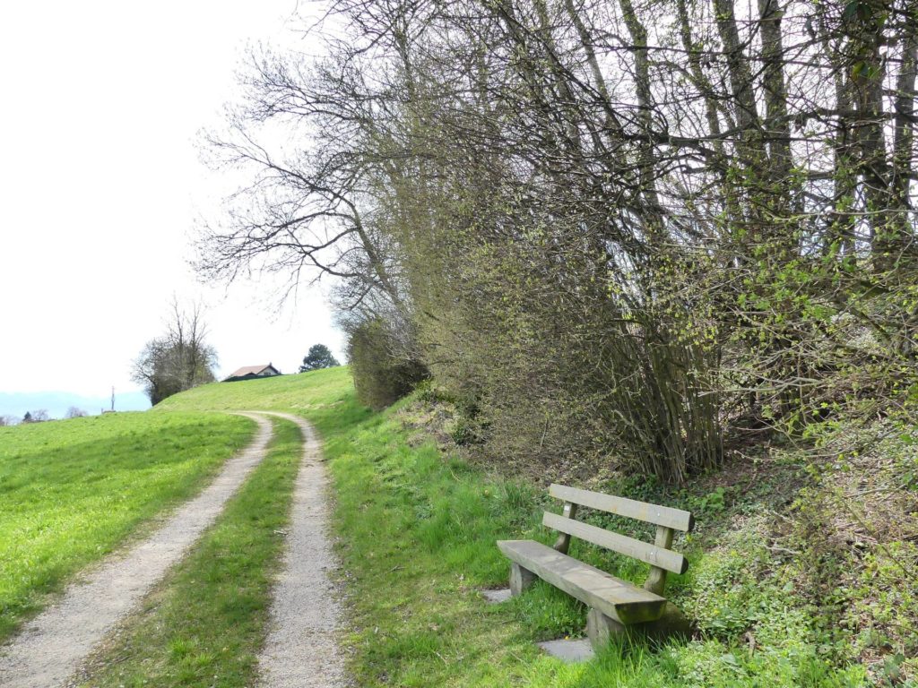banc-2241