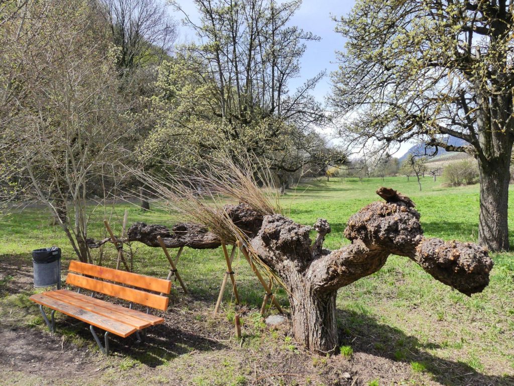 banc-2244