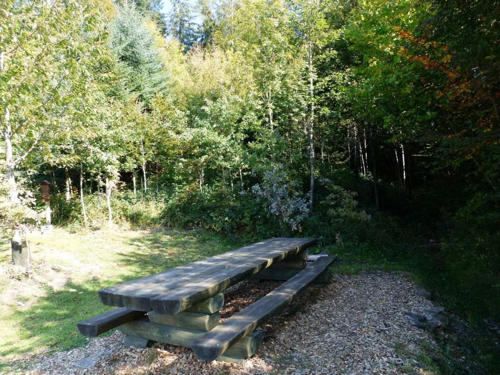 banc-225