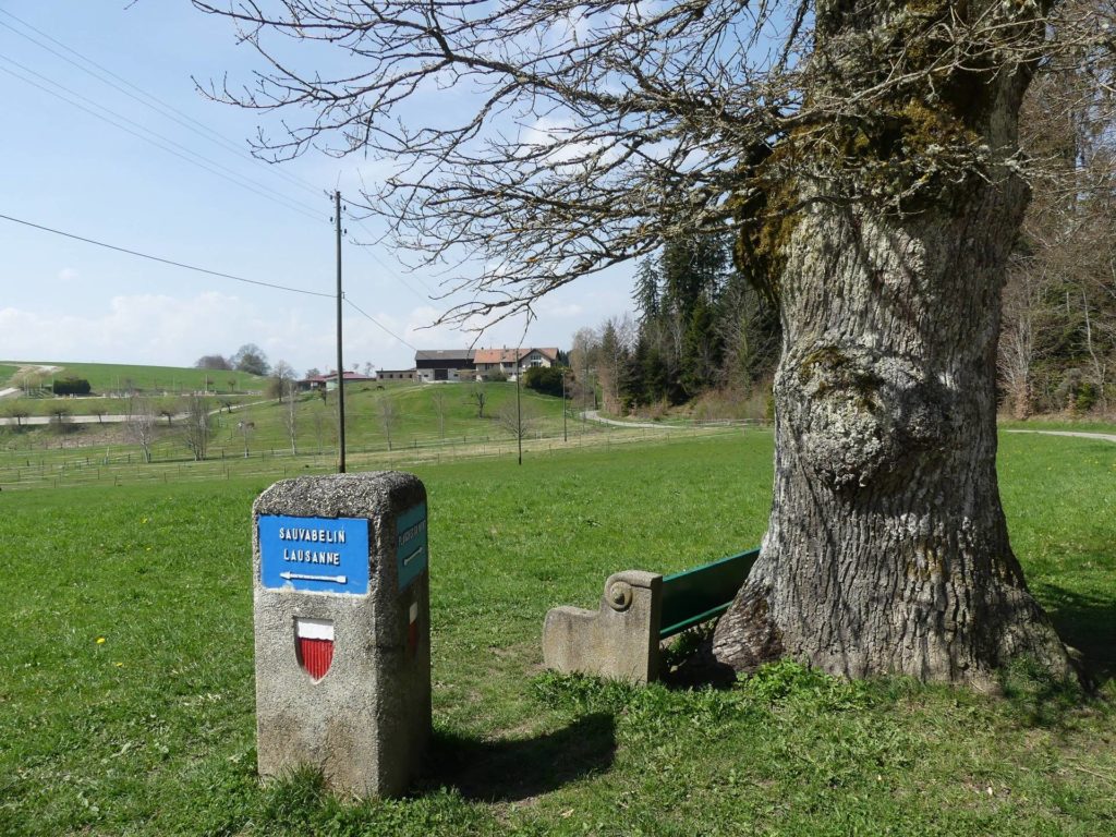 banc-2255