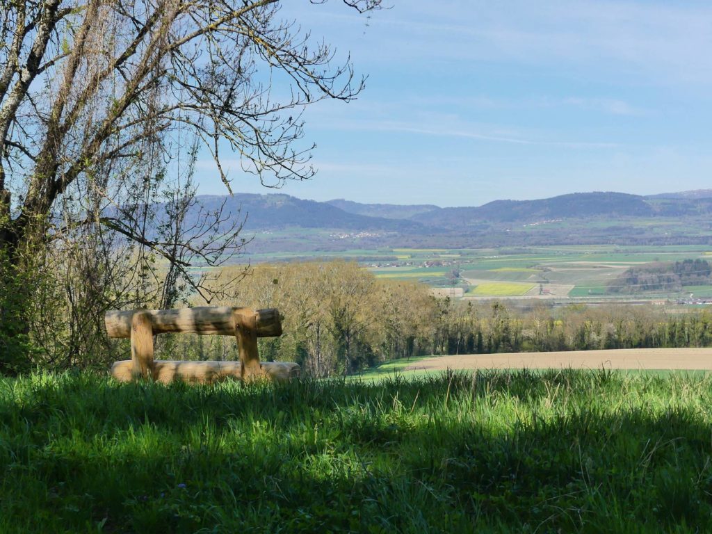 banc-2259
