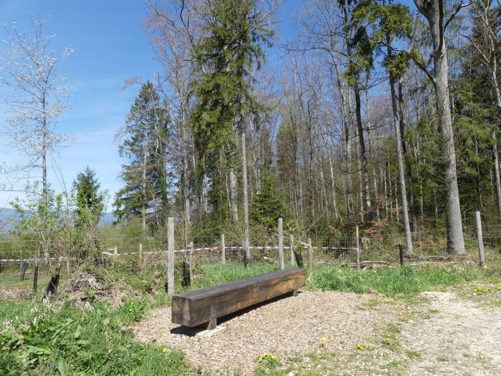banc-2264