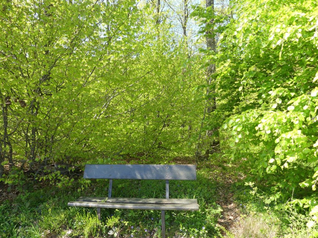 banc-2278