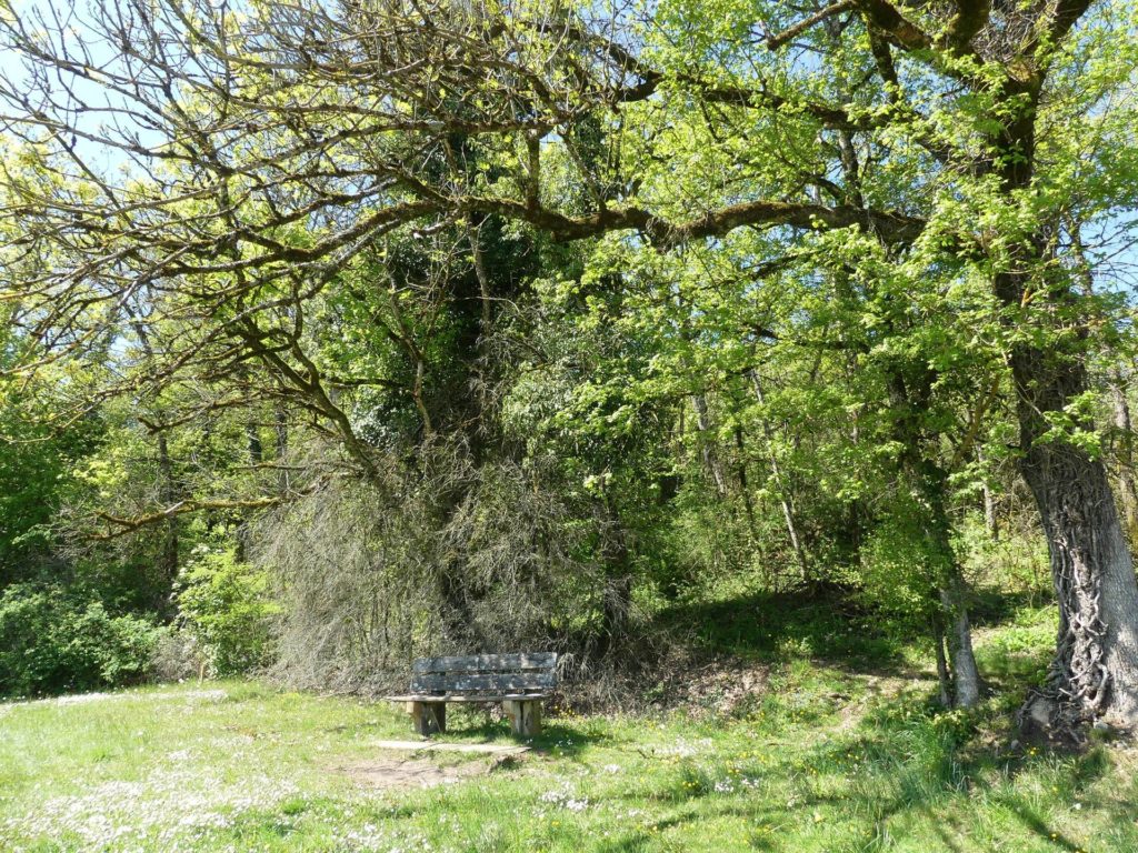 banc-2281