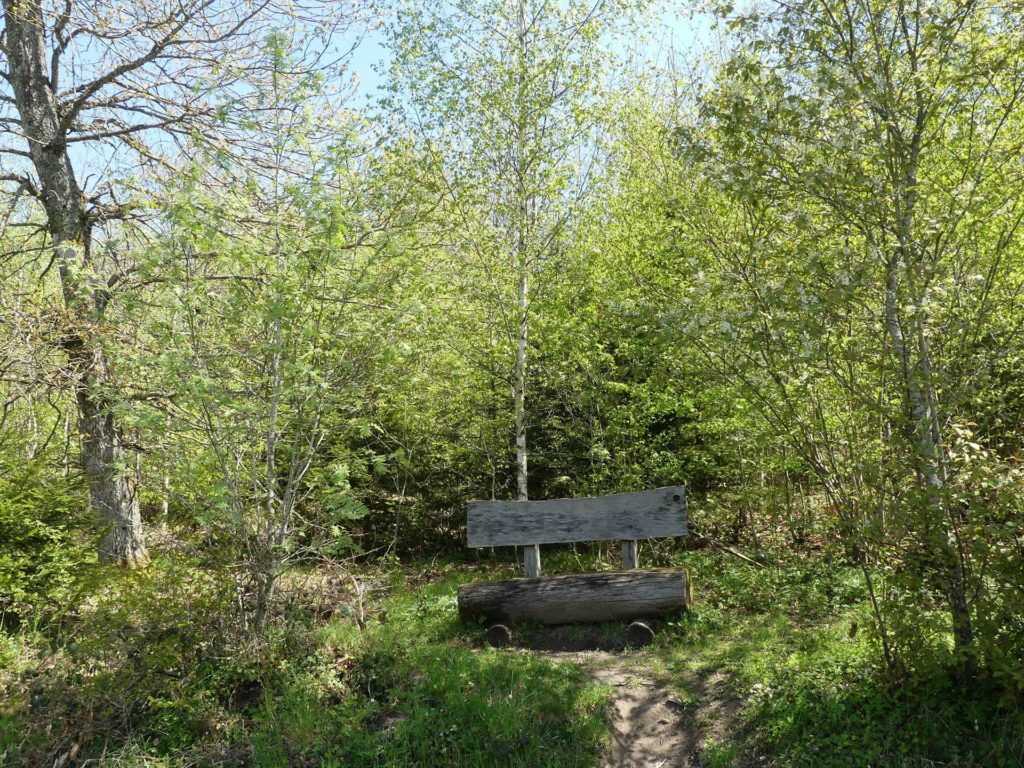 banc-2286