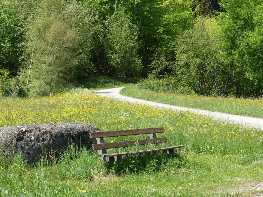 banc-2296