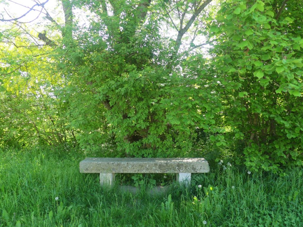 banc-2302