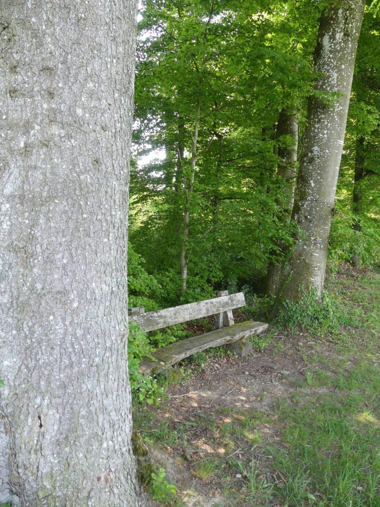 banc-2303