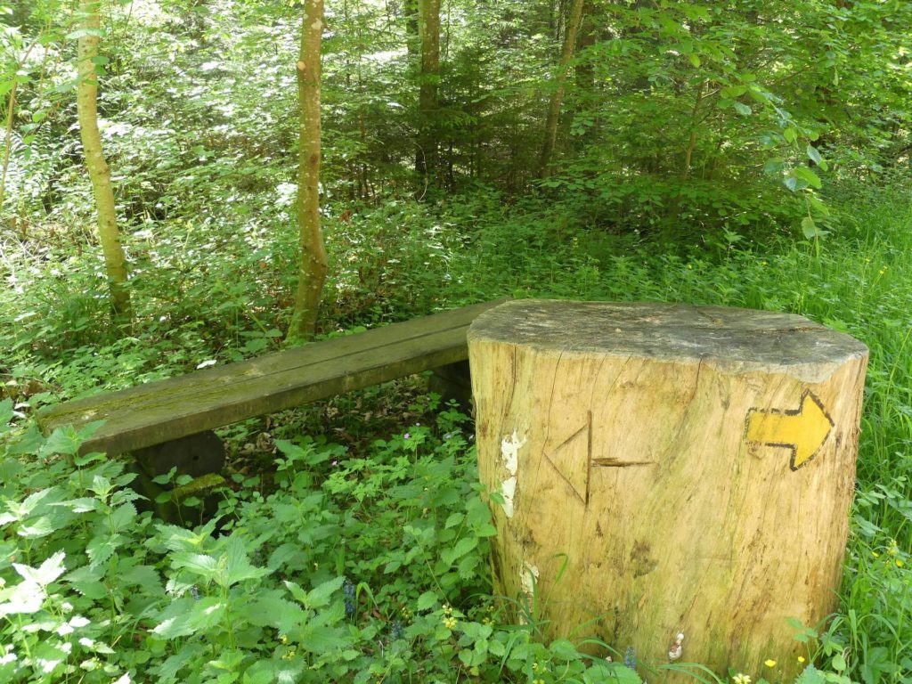 banc-2304