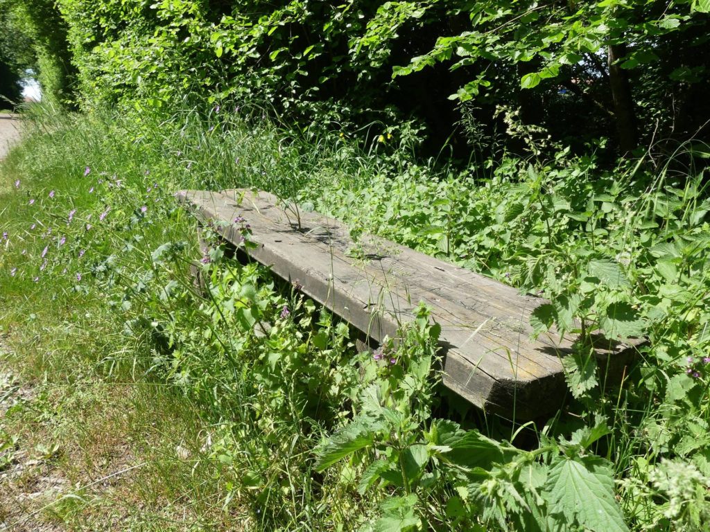 banc-2305